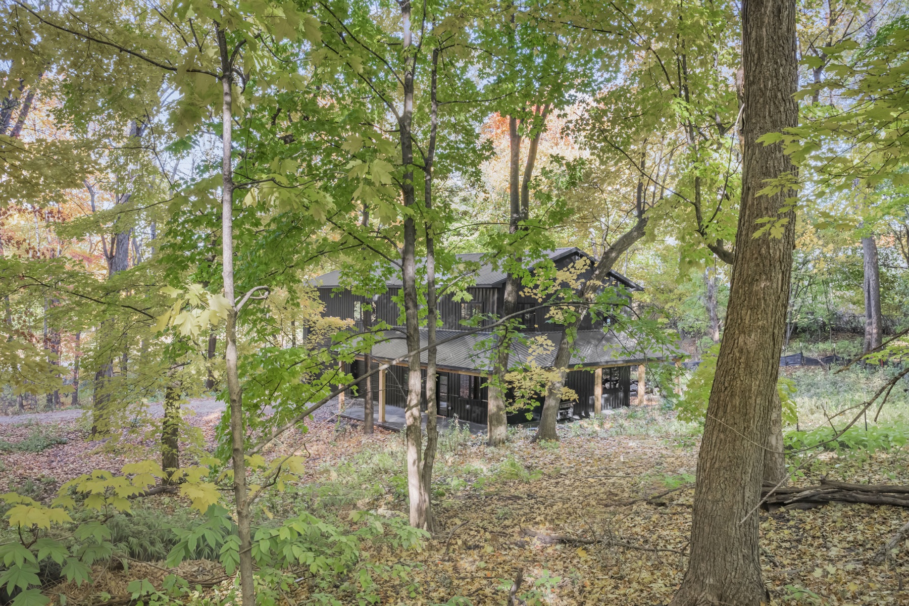 Modern Woodland Home in Shakopee, view 49